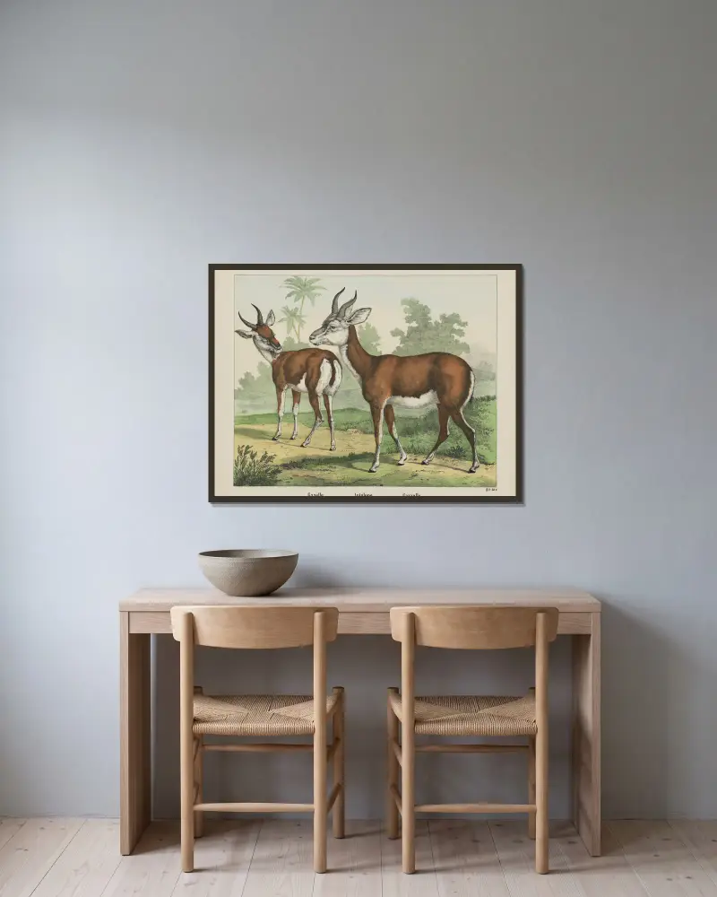 Antelope. av Joseph Scholz inramad på en vägg