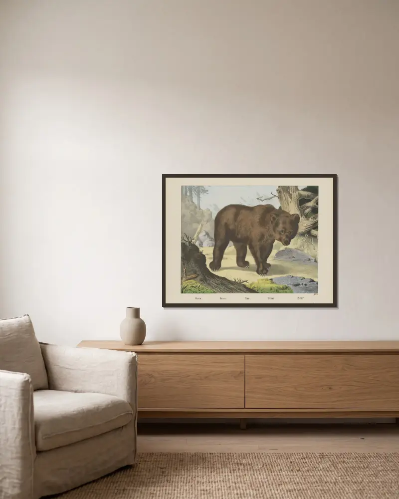 Bear av Joseph Scholz inramad på en vägg