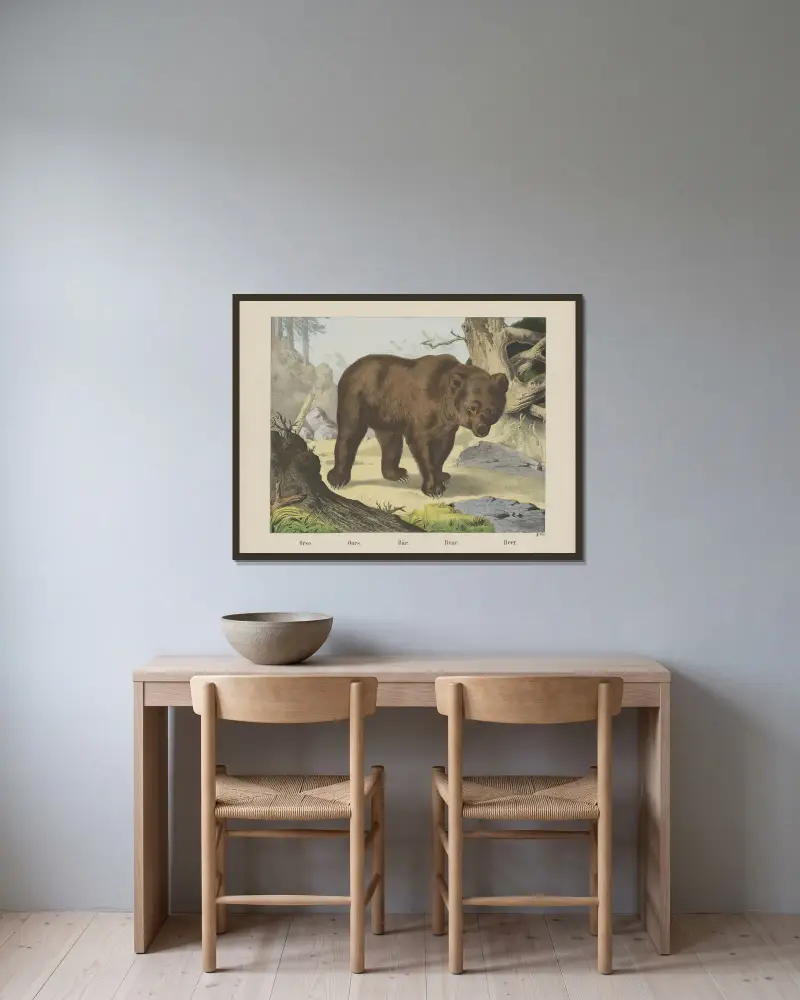 Bear av Joseph Scholz inramad på en vägg