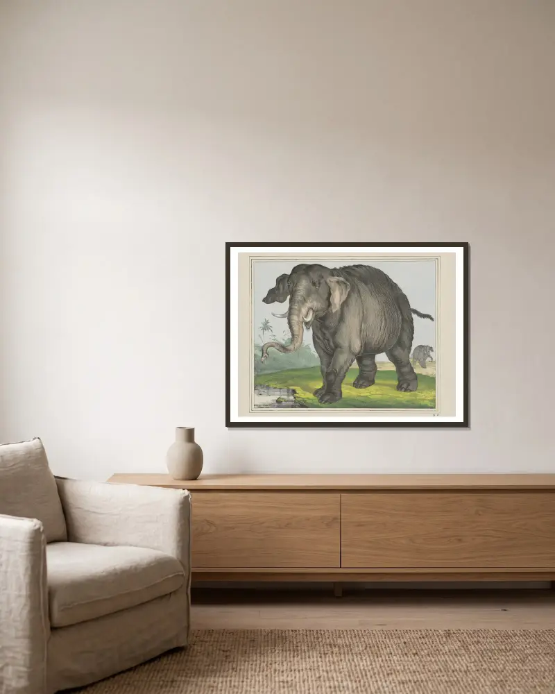 Elefant von Joseph Scholz gerahmt an einer Wand