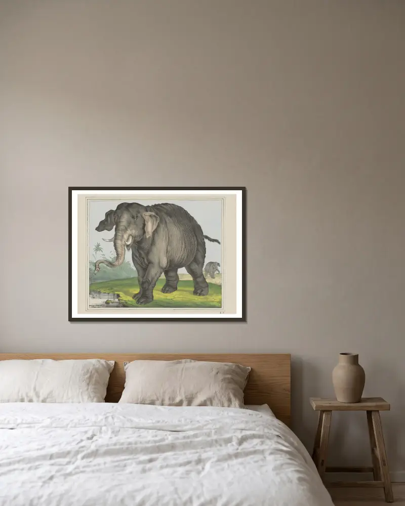 Elefant von Joseph Scholz gerahmt an einer Wand