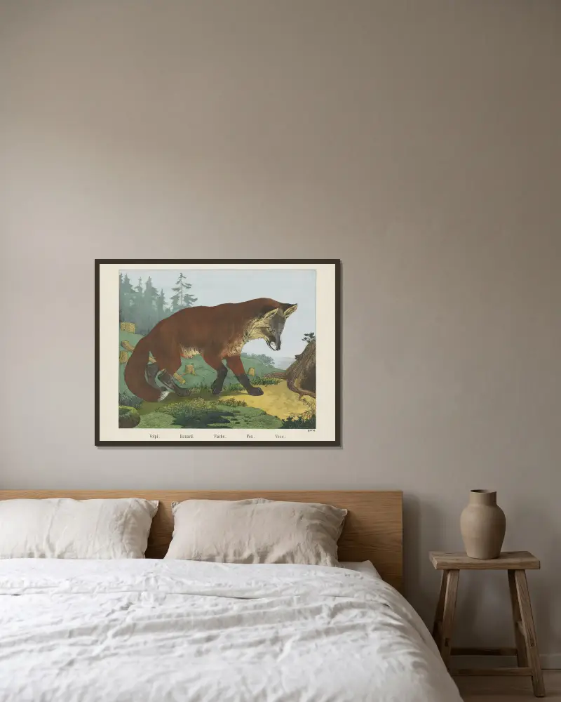 Fuchs von Joseph Scholz gerahmt an einer Wand