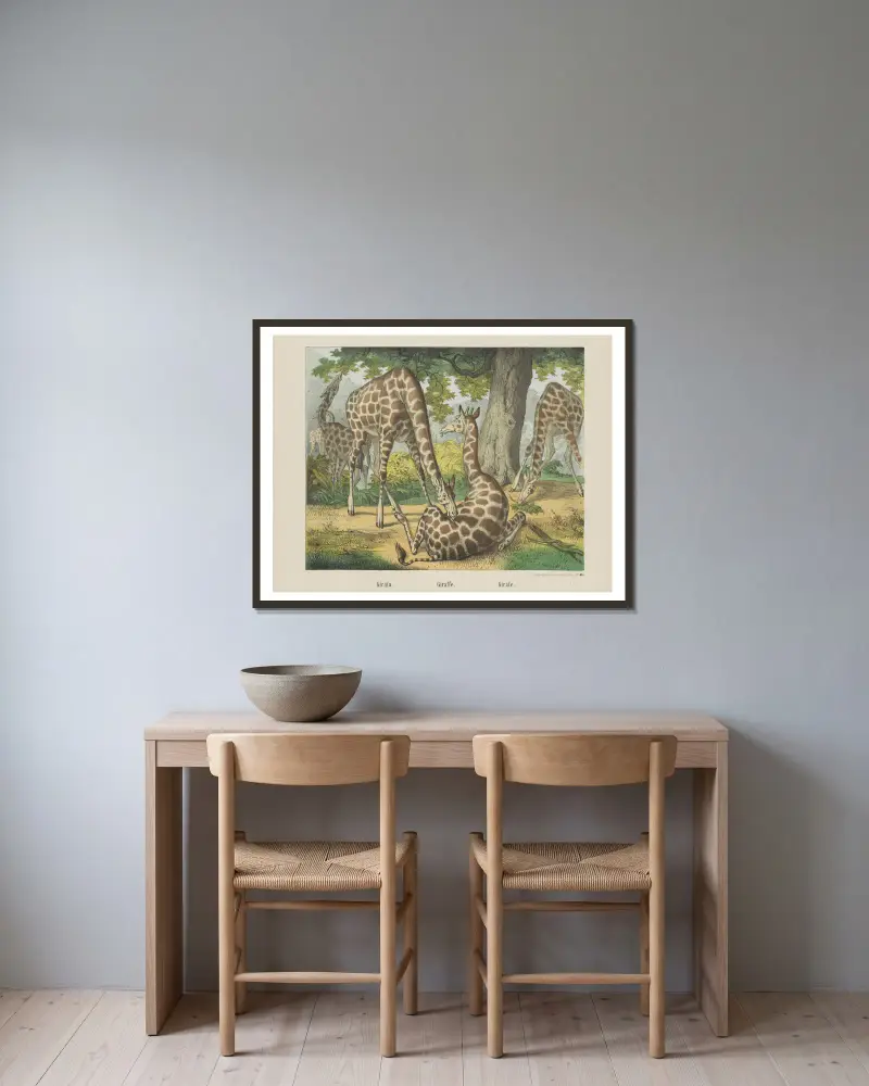 Giraffe von Joseph Scholz gerahmt an einer Wand