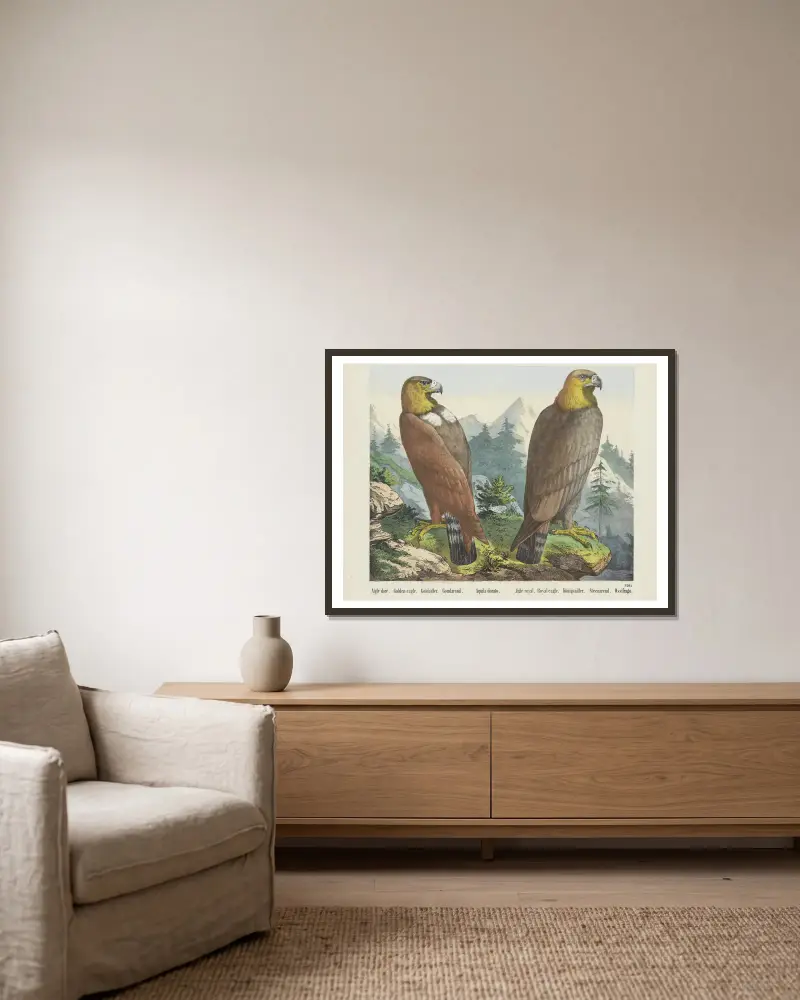 Golden eagle av Joseph Scholz inramad på en vägg