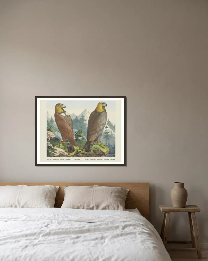 Golden eagle av Joseph Scholz inramad på en vägg