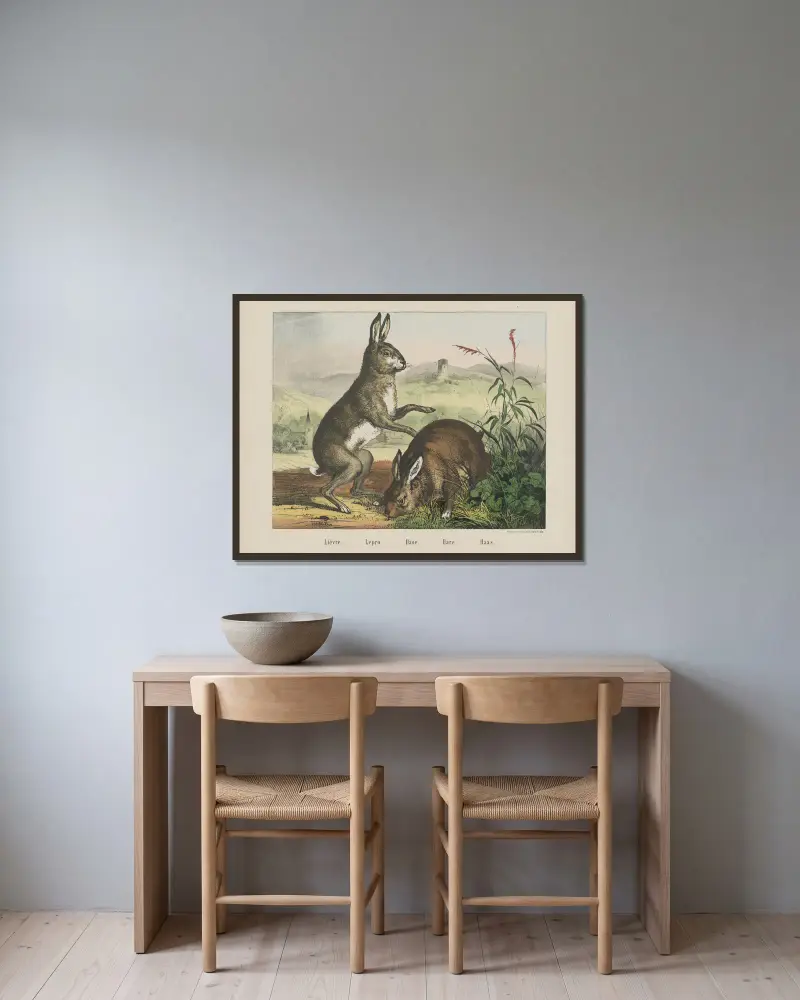 Zajíc, Joseph Scholz v rámu na stěně