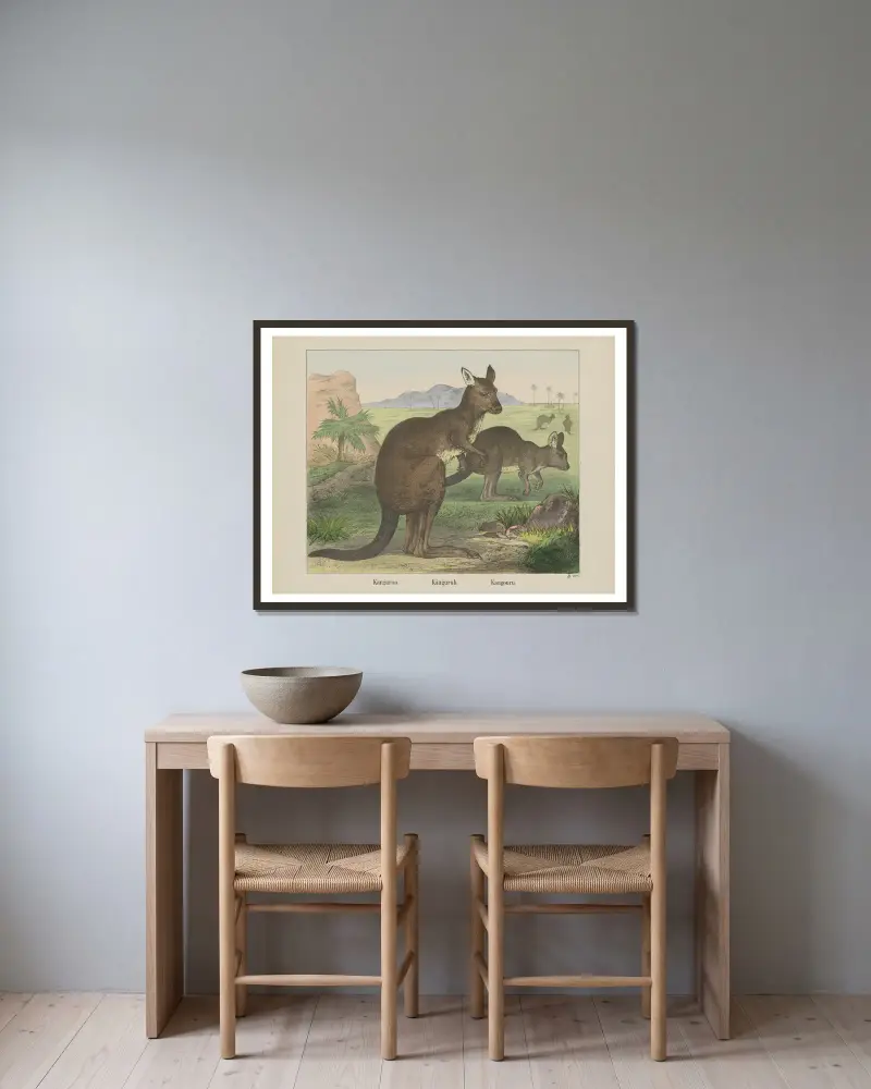 Kangaroo av Joseph Scholz inramad på en vägg