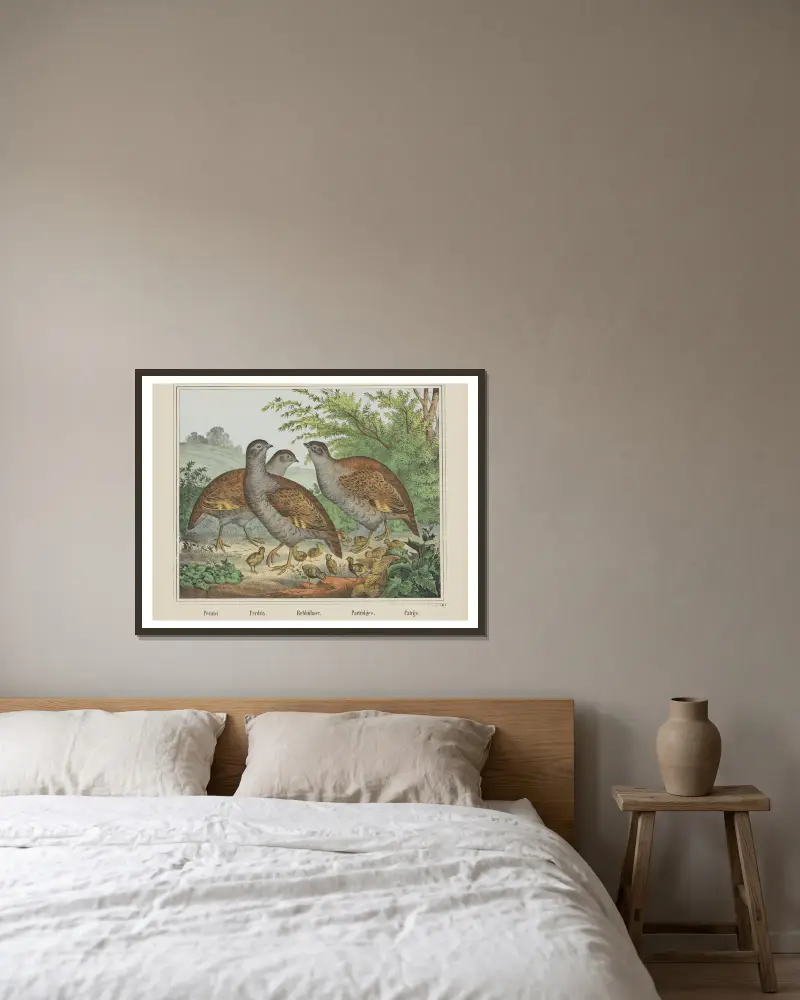 Partridges av Joseph Scholz inramad på en vägg