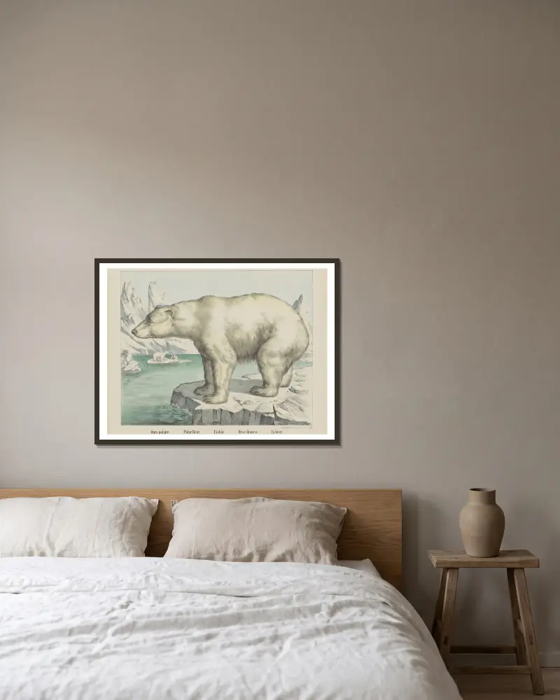 Polar bear av Joseph Scholz inramad på en vägg