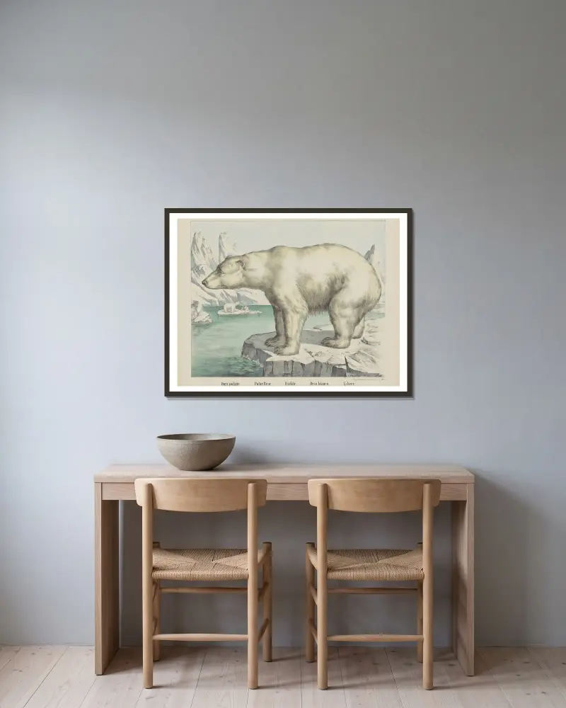 Polar bear av Joseph Scholz inramad på en vägg