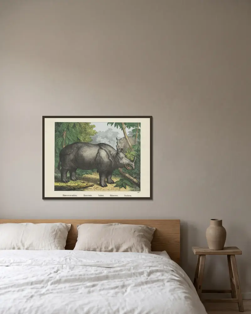 Nashorn von Joseph Scholz gerahmt an einer Wand