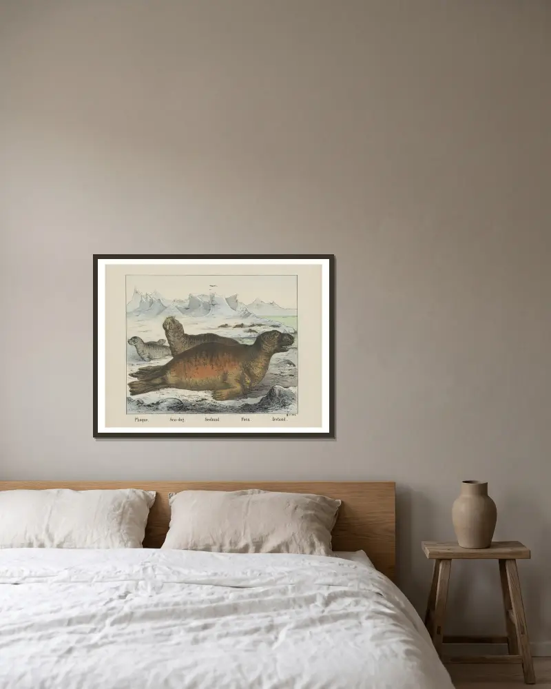 Seehund von Joseph Scholz gerahmt an einer Wand