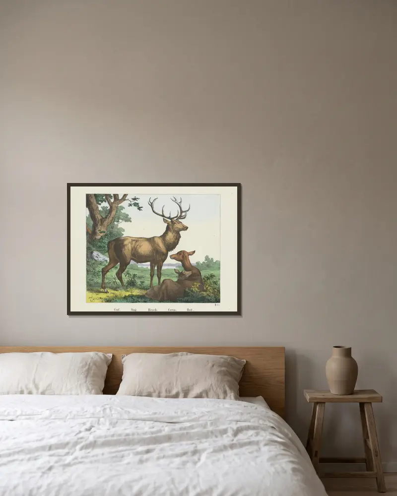 Hirsch von Joseph Scholz gerahmt an einer Wand