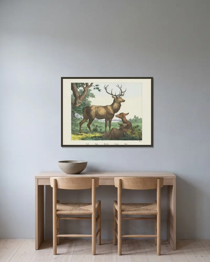 Hirsch von Joseph Scholz gerahmt an einer Wand