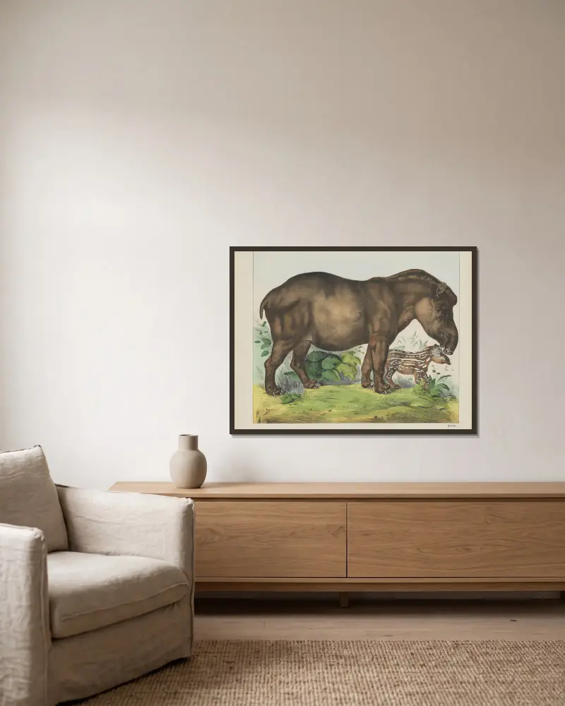 Tapir von Joseph Scholz gerahmt an einer Wand