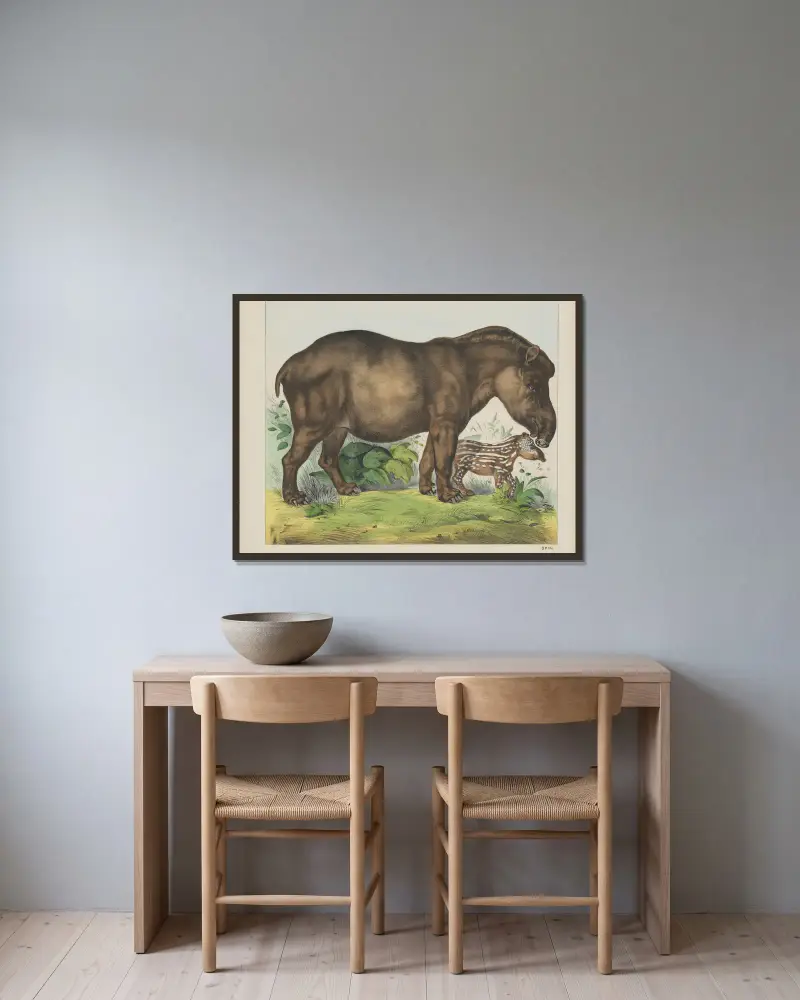 Tapir von Joseph Scholz gerahmt an einer Wand