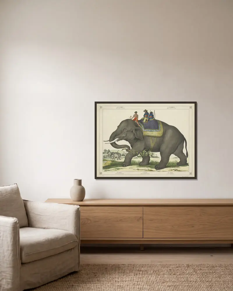 The elephant av Joseph Scholz inramad på en vägg