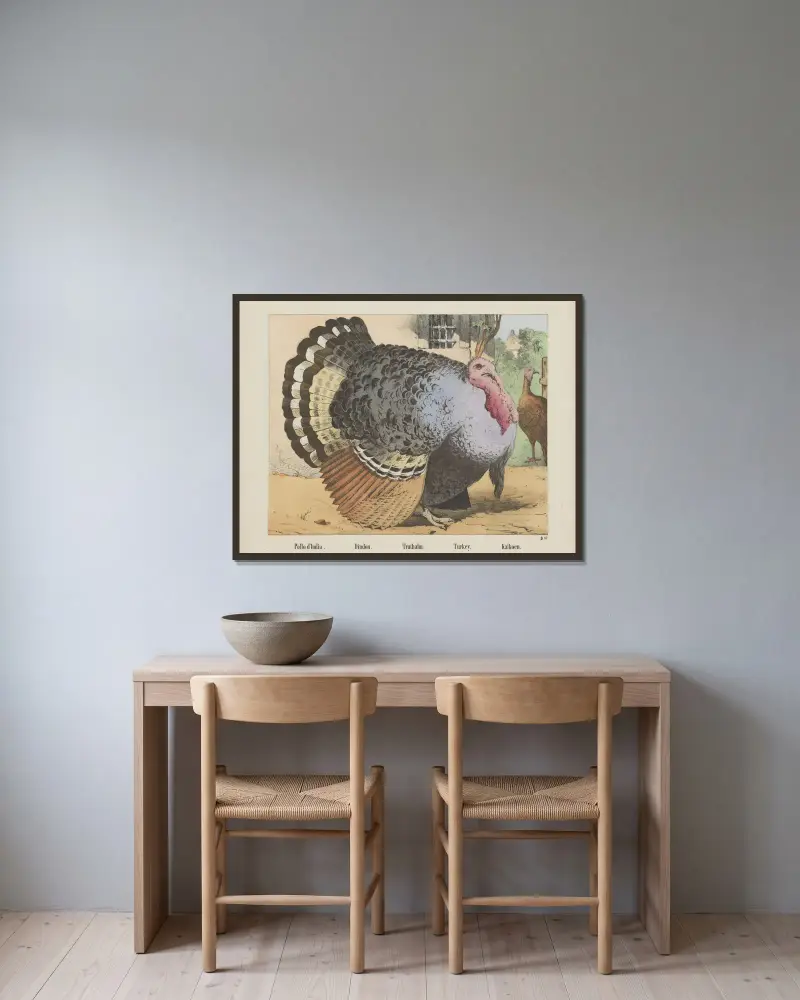 Turkey. av Joseph Scholz inramad på en vägg