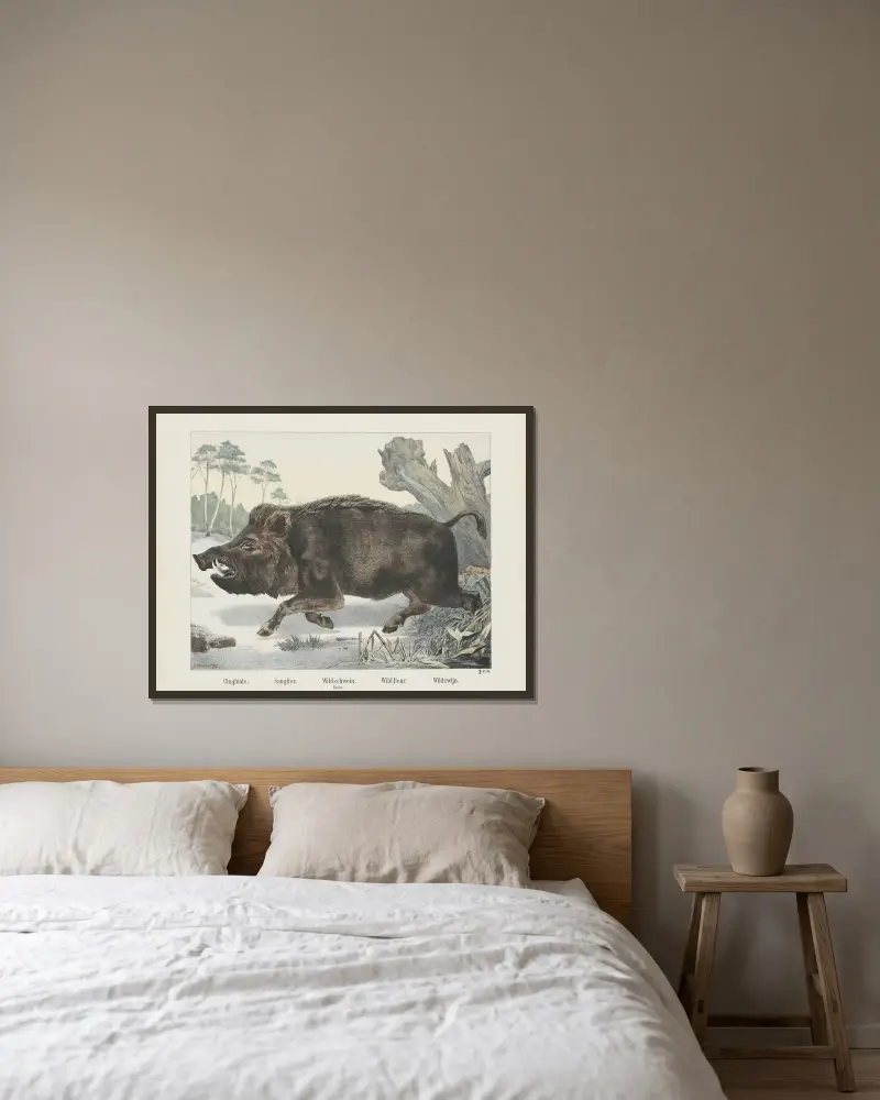 Wildschwein von Joseph Scholz gerahmt an einer Wand