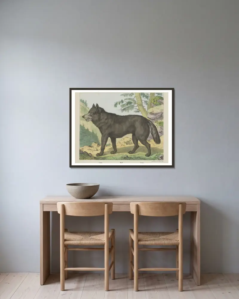 Wolf av Joseph Scholz inramad på en vägg