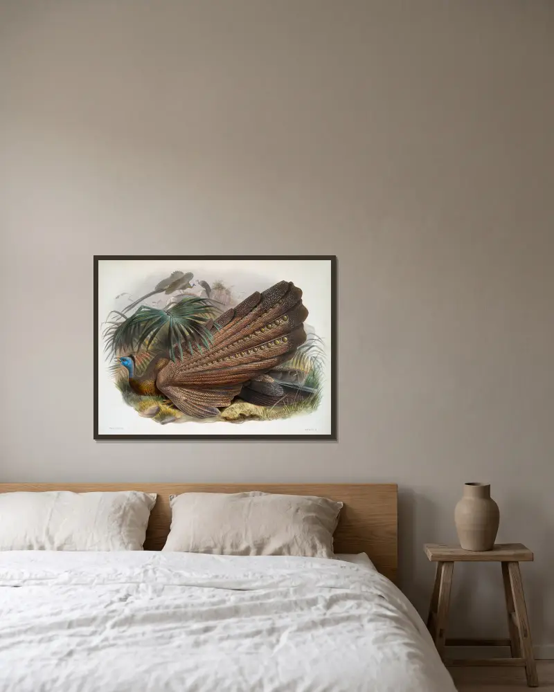 Argus giganteus von Joseph Smit gerahmt an einer Wand