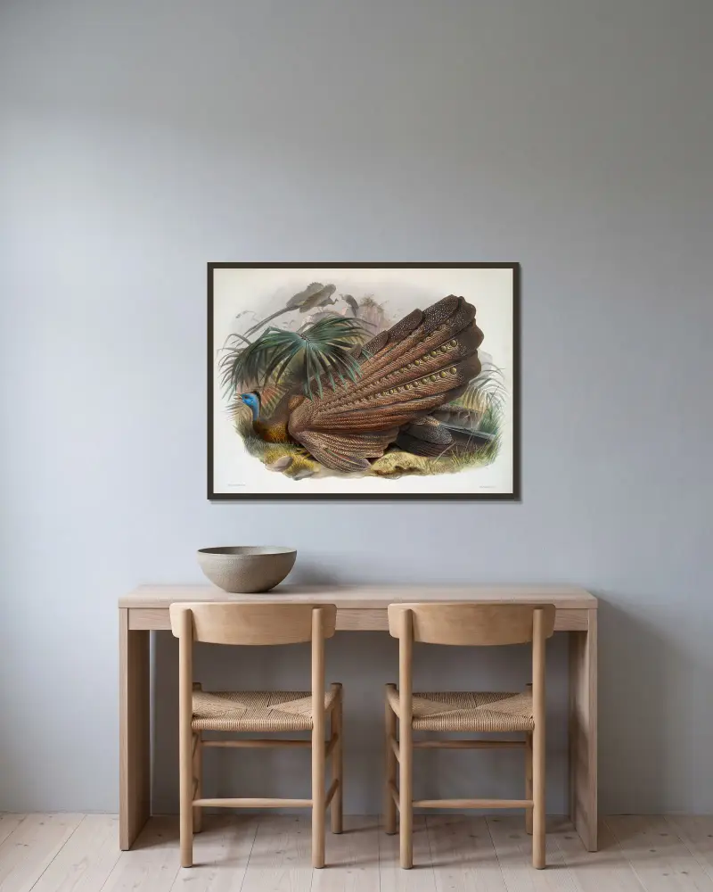 Argus giganteus von Joseph Smit gerahmt an einer Wand