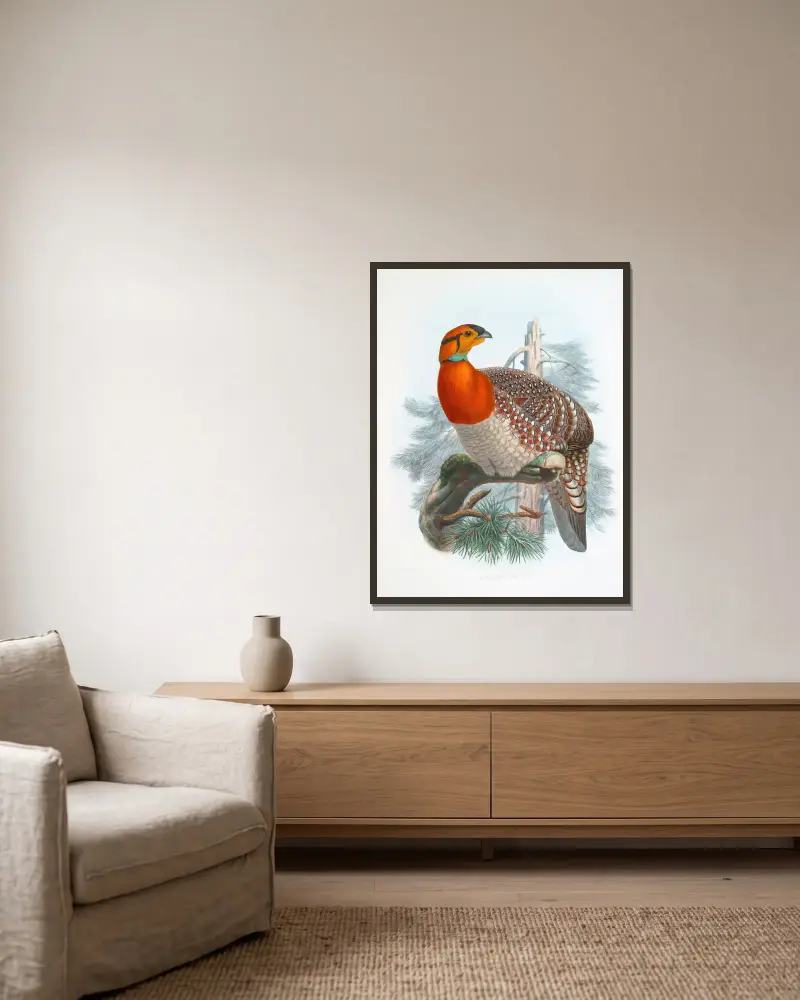 Ceriornis Blythii von Joseph Smit gerahmt an einer Wand
