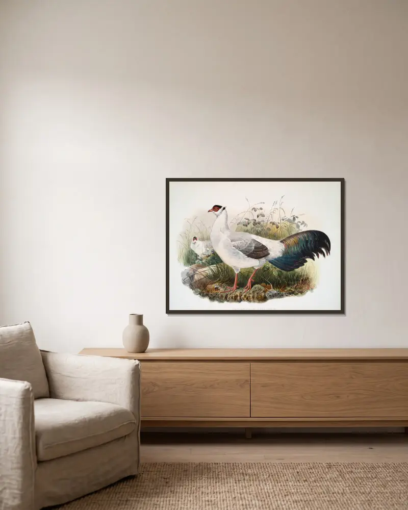Crossoptilon thibetanum von Joseph Smit gerahmt an einer Wand