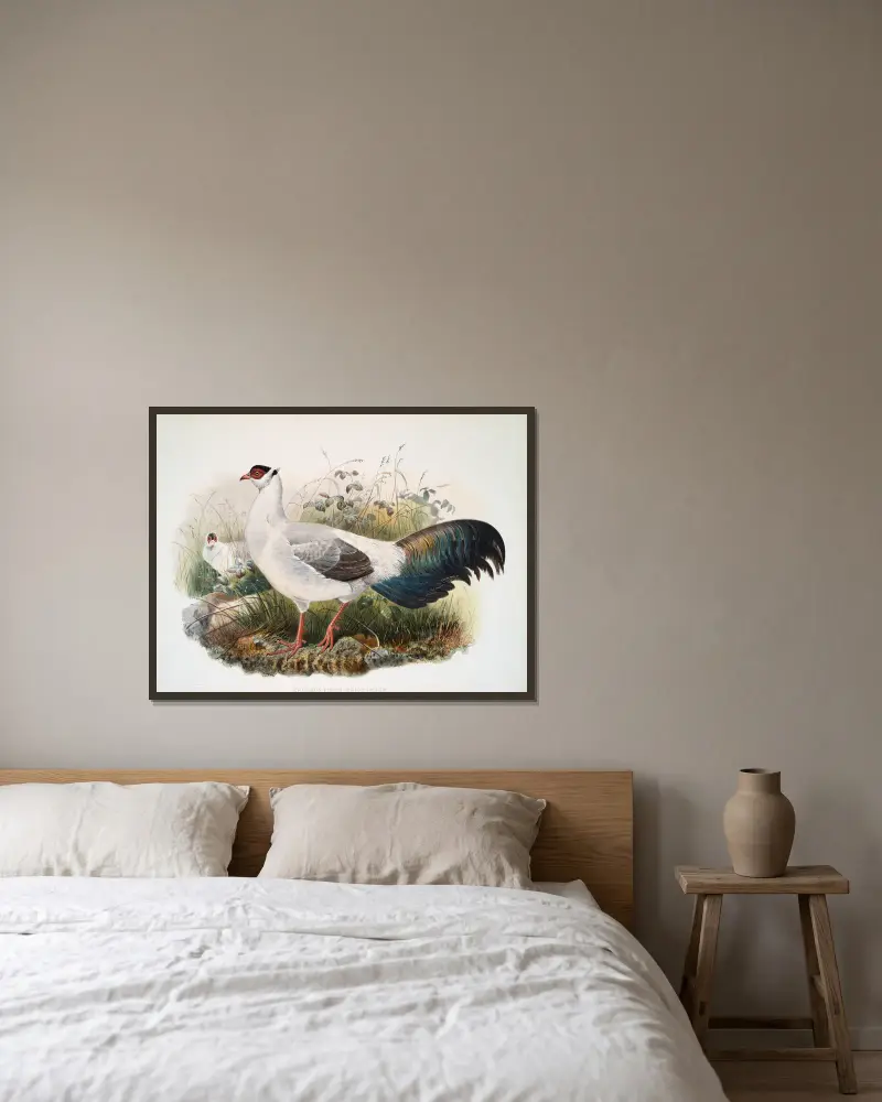 Crossoptilon thibetanum von Joseph Smit gerahmt an einer Wand