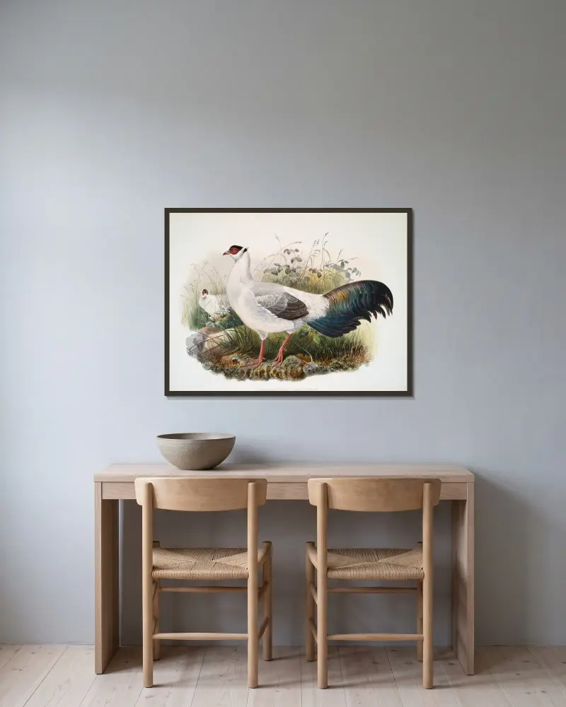 Crossoptilon thibetanum von Joseph Smit gerahmt an einer Wand