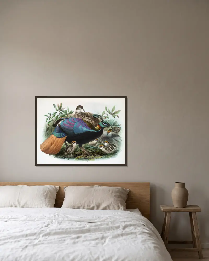 Lophophorus Impeyanus. av Joseph Smit inramad på en vägg