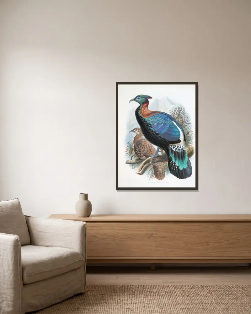 Lophophorus Lhuysii von Joseph Smit gerahmt an einer Wand