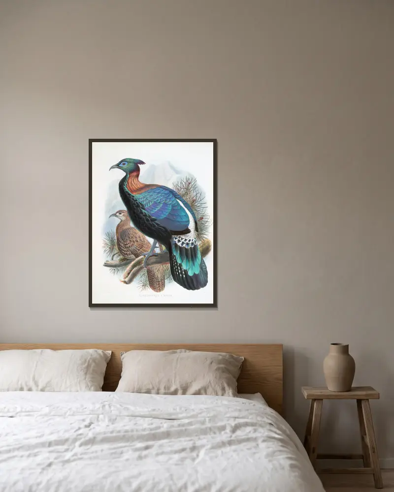 Lophophorus Lhuysii von Joseph Smit gerahmt an einer Wand