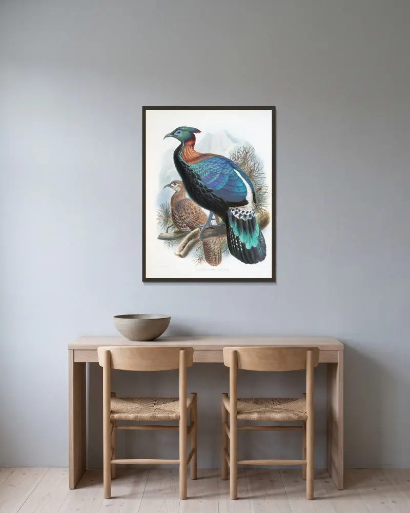 Lophophorus Lhuysii von Joseph Smit gerahmt an einer Wand