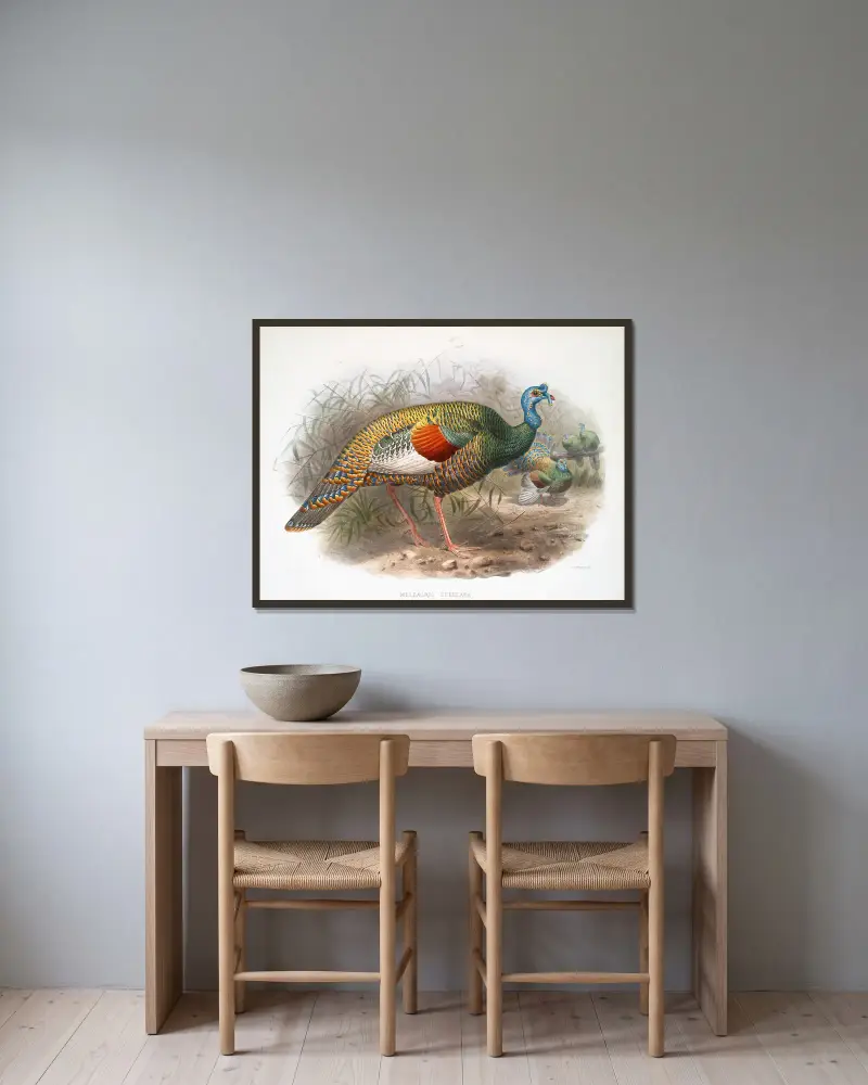 Melaeacris Ocellata von Joseph Smit gerahmt an einer Wand