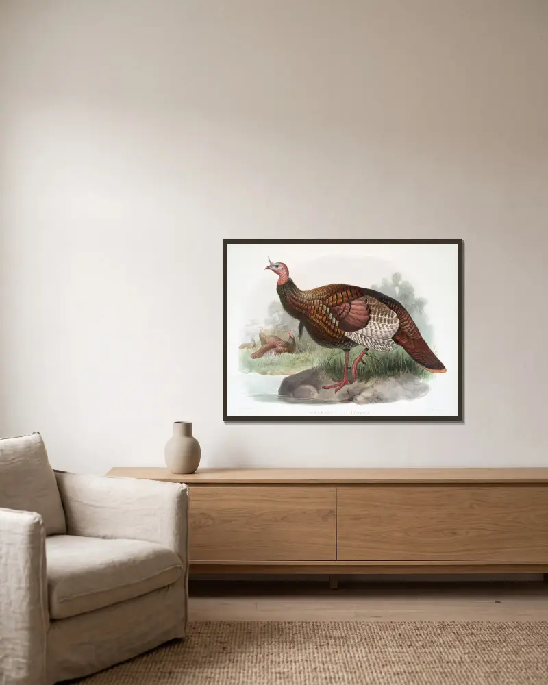 Meleagris gallopavo von Joseph Smit gerahmt an einer Wand