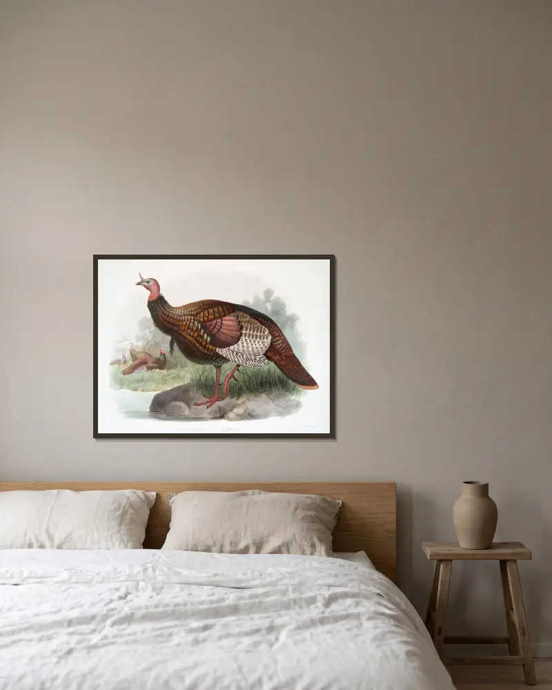 Meleagris gallopavo von Joseph Smit gerahmt an einer Wand