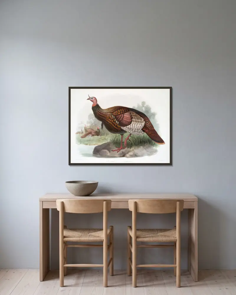 Meleagris gallopavo von Joseph Smit gerahmt an einer Wand