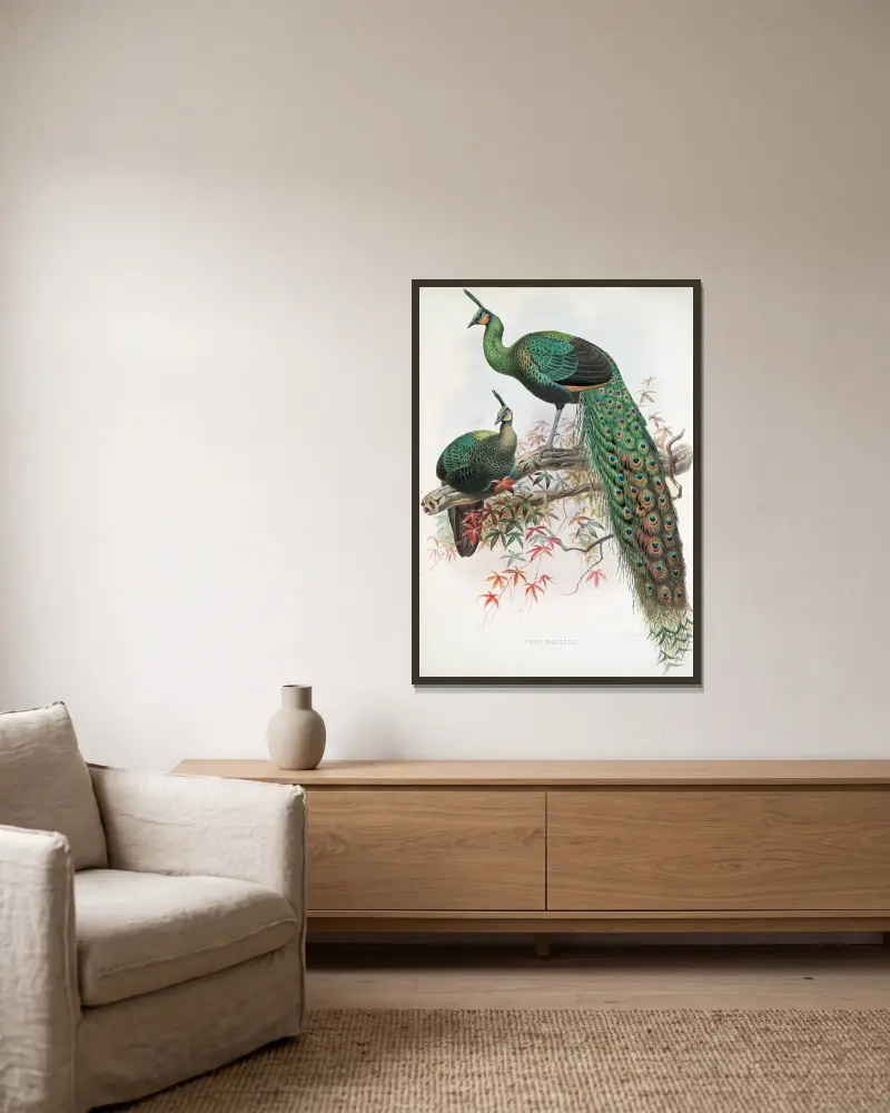 Pavo muticus. av Joseph Smit inramad på en vägg