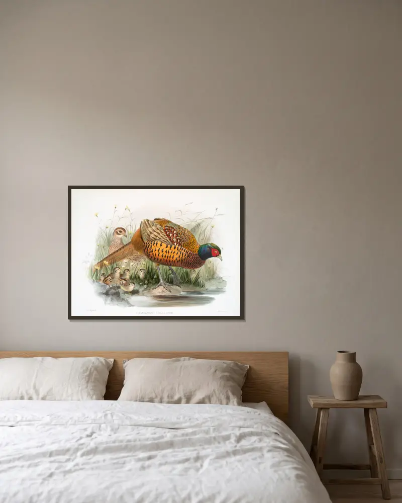 Fasan (Phasianus colchicus), Joseph Smit v rámu na stěně