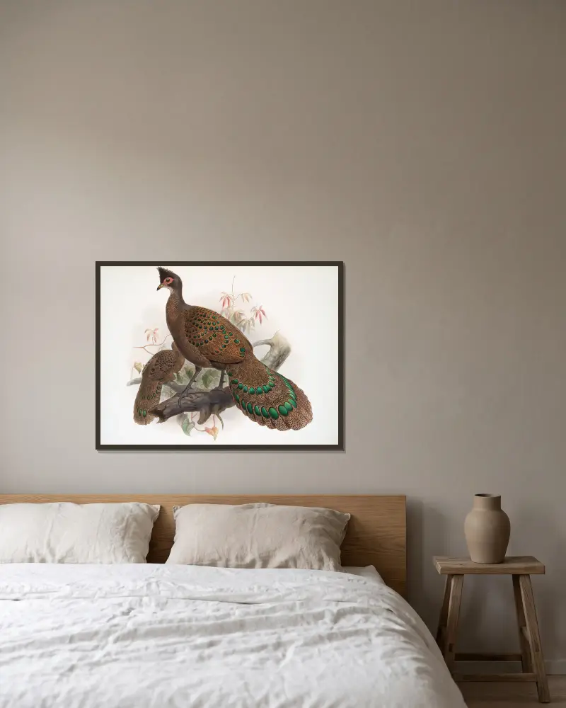 Polyplectron bicalcaratum von Joseph Smit gerahmt an einer Wand