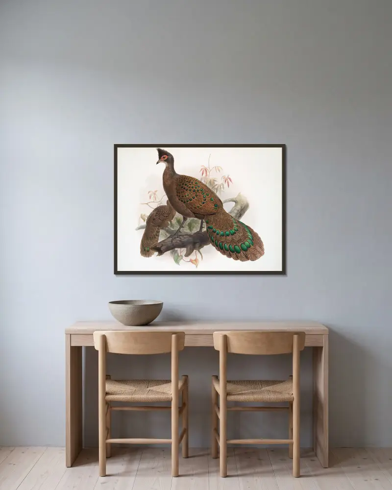 Polyplectron bicalcaratum von Joseph Smit gerahmt an einer Wand