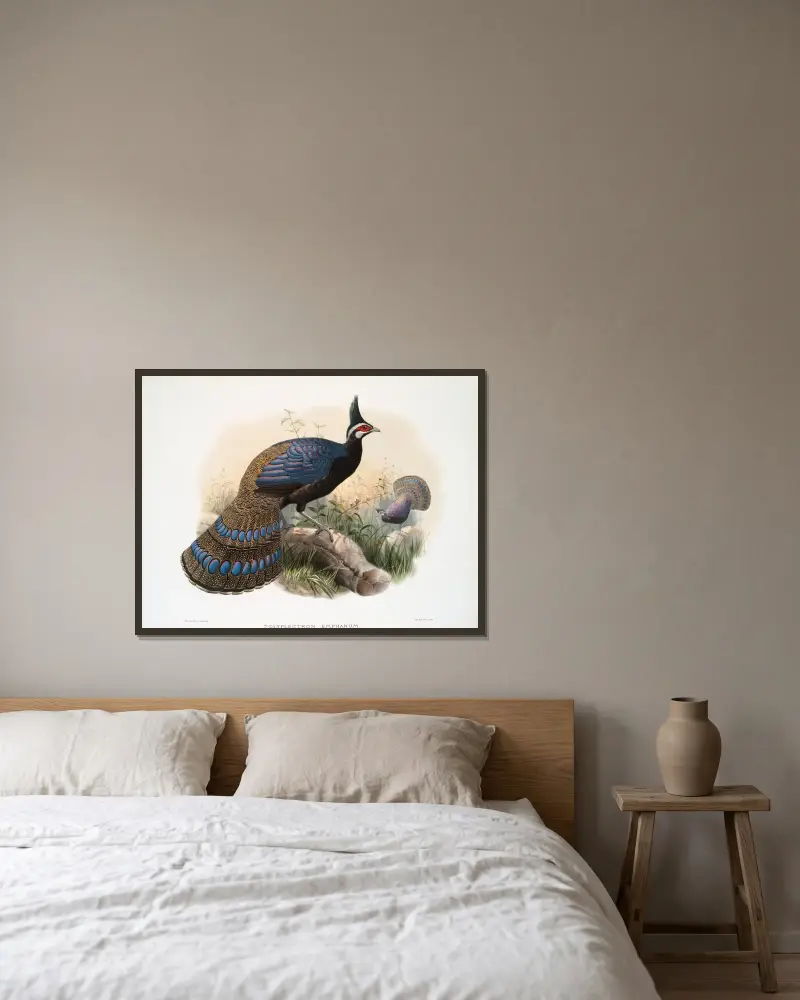Polyplectron emphanum. av Joseph Smit inramad på en vägg