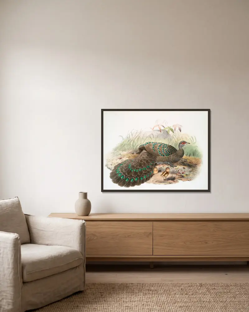 Polyplectron Germaini von Joseph Smit gerahmt an einer Wand