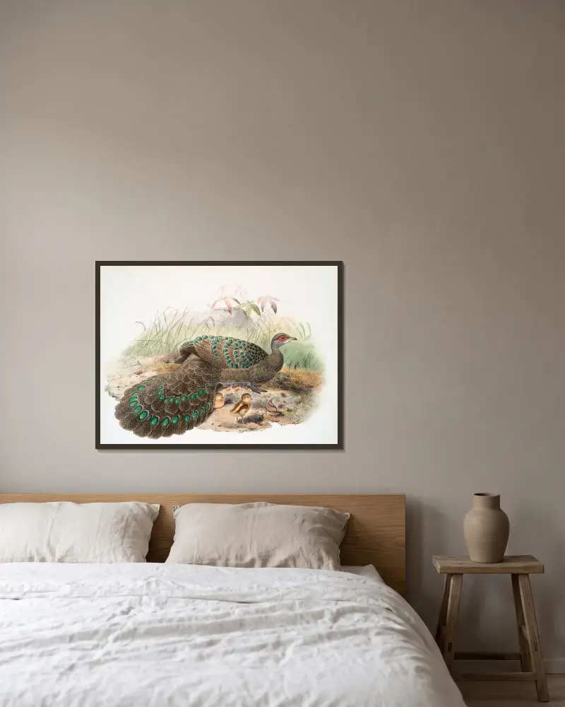 Polyplectron Germaini von Joseph Smit gerahmt an einer Wand