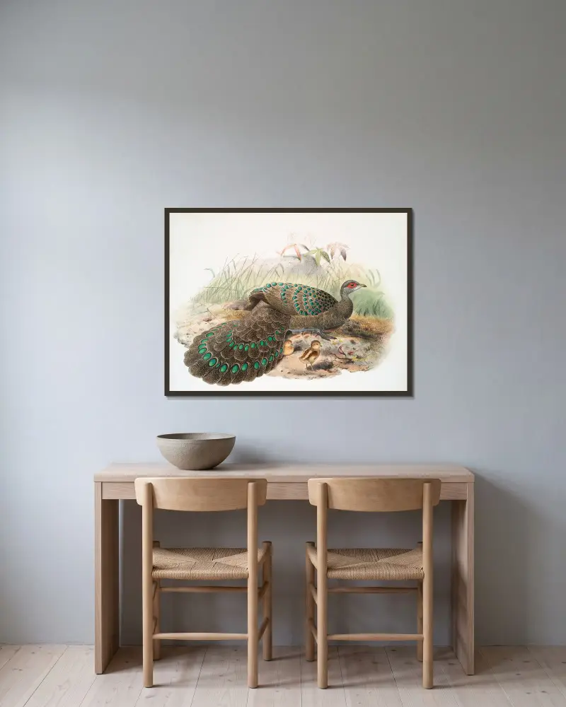 Polyplectron Germaini von Joseph Smit gerahmt an einer Wand