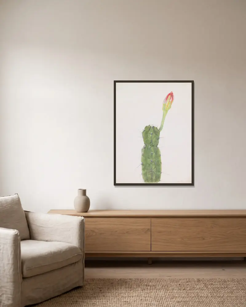 Kaktus, Joseph Stella w ramie na ścianie