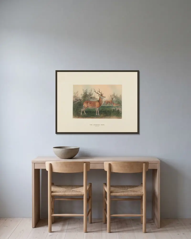 The Japanese Deer av Joseph Wolf inramad på en vägg