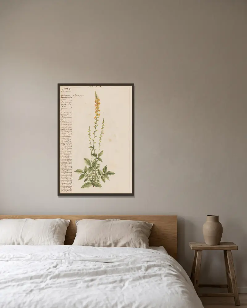 Agrimony, Joshua Webster v rámu na stěně