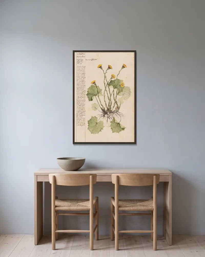 Echter Huflattich von Joshua Webster gerahmt an einer Wand